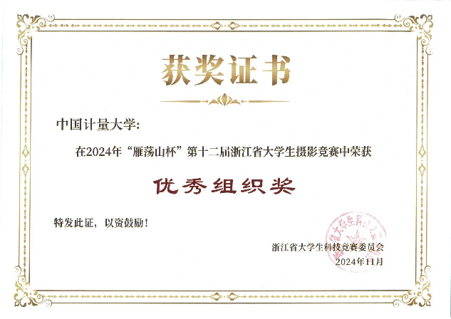 “优秀组织奖” 奖状